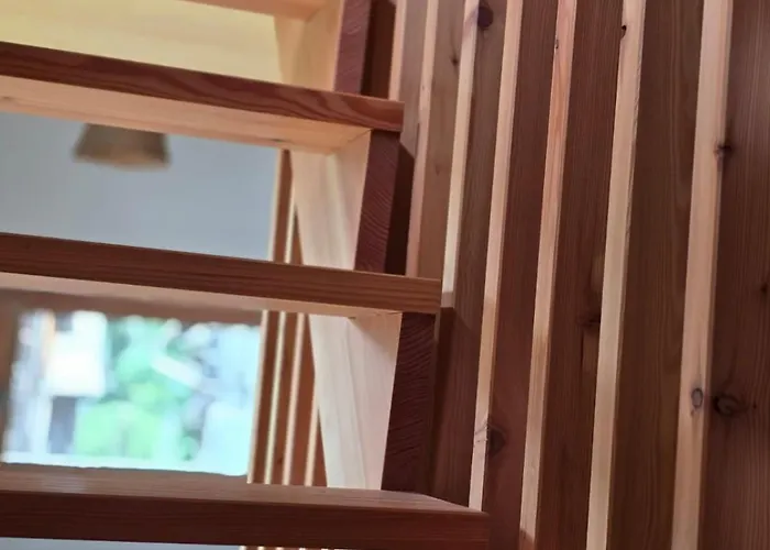 Le D'hermann Dağ evi *